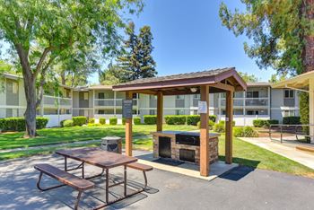 Outdoor Picnic Area with Bench Seating, Trees and Sun Covering at Renaissance Park Apartments, Davis, California